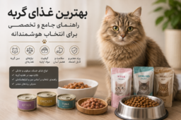 بهترین غذای گربه