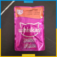پوچ ویسکاس - بچه گربه کیتن - گوساله - Junior Kitten