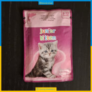 پوچ ویسکاس - بچه گربه کیتن - سالمون - Junior Kitten