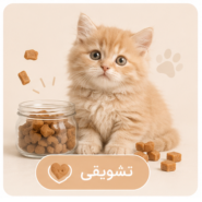 تشویقی