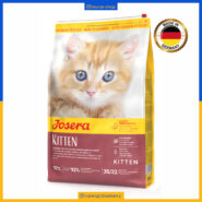 جوسرا کیتن - Kitten - ده کیلویی پک اصلی - تصویر 1