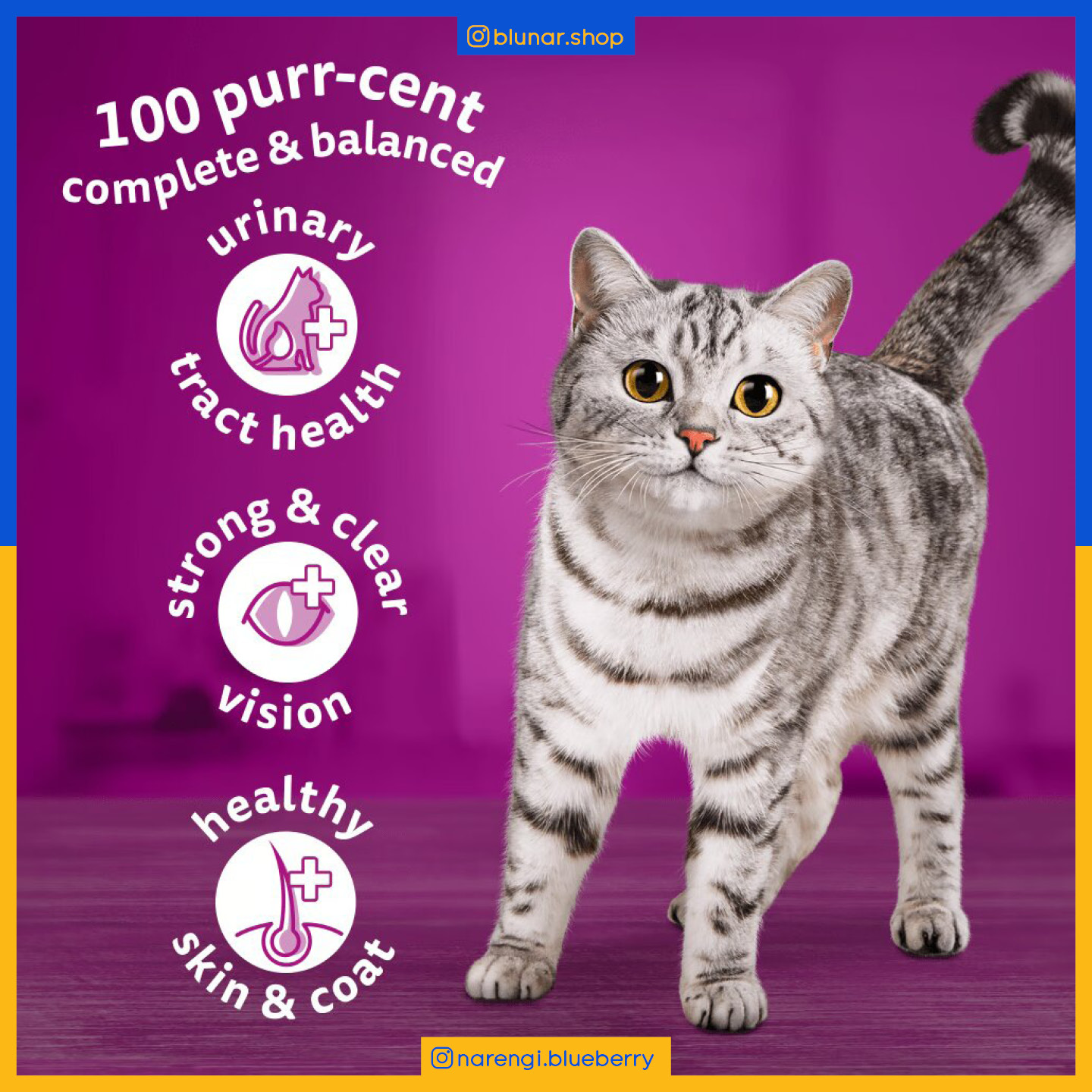 ویسکاس - گربه بالغ - طعم مرغ - 1.4 کیلو - تصویر 2