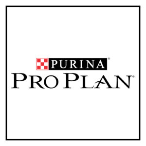 Pro Plan