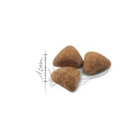 رویال کنین گربه خانگی بالغ - 2 کیلویی indoor - تصویر 2