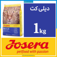 جوسرا دیلی کت - DAILYCAT - یک کیلویی بسته بندی بلونارشاپ - تصویر 1
