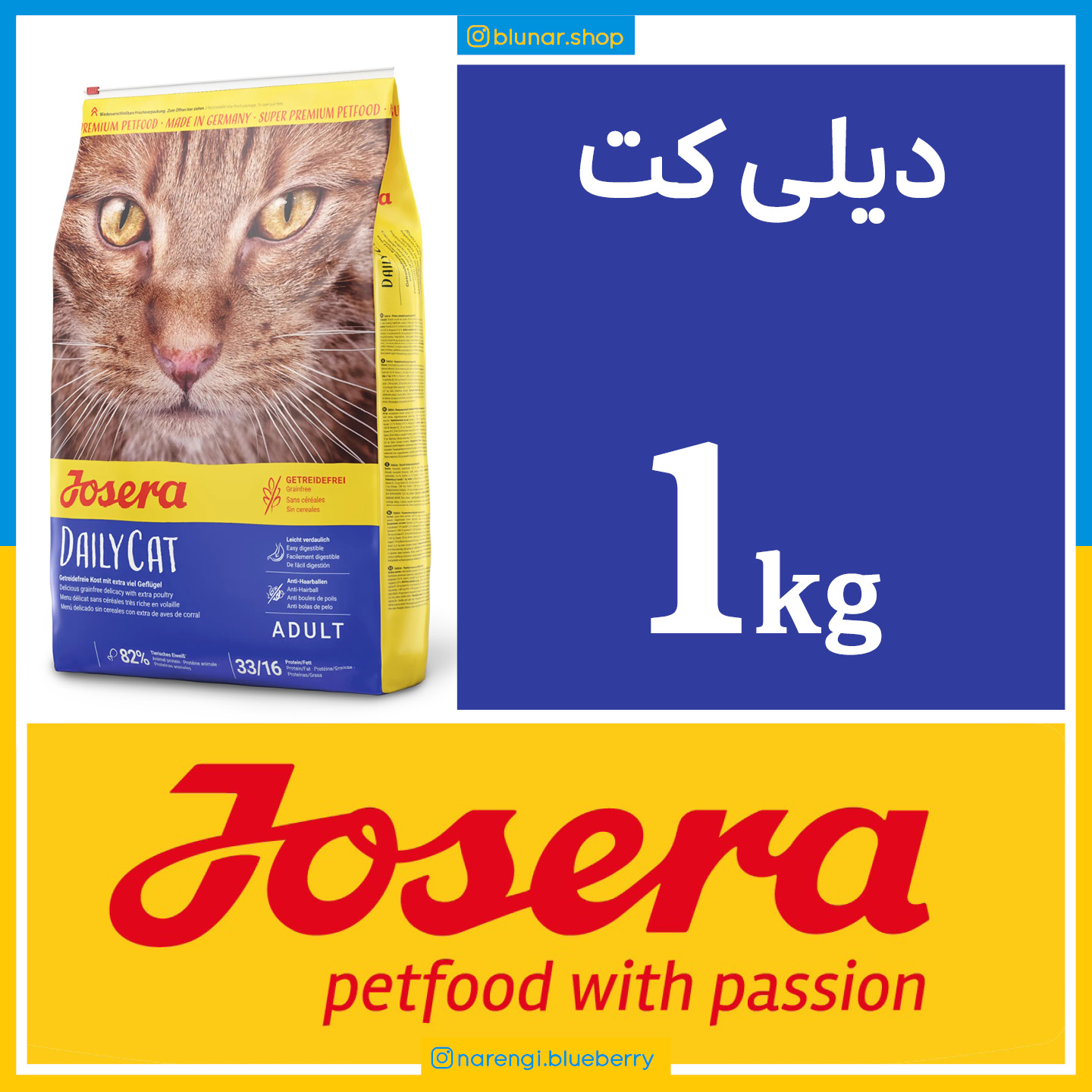 جوسرا دیلی کت - DAILYCAT - یک کیلویی بسته بندی بلونارشاپ - تصویر 1