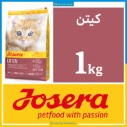 جوسرا کیتن - Kitten - یک کیلویی بسته بندی بلونارشاپ - تصویر 1