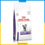 رویال کنین گربه دنتال - 1.5 کیلویی Dental S/O