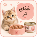 غذای تر