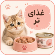 غذای تر
