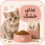 غذا خشک